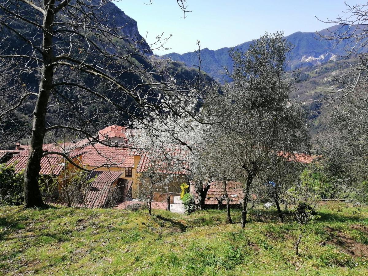 Bed and Breakfast Il Metato Di Gallena Stazzema Exterior foto