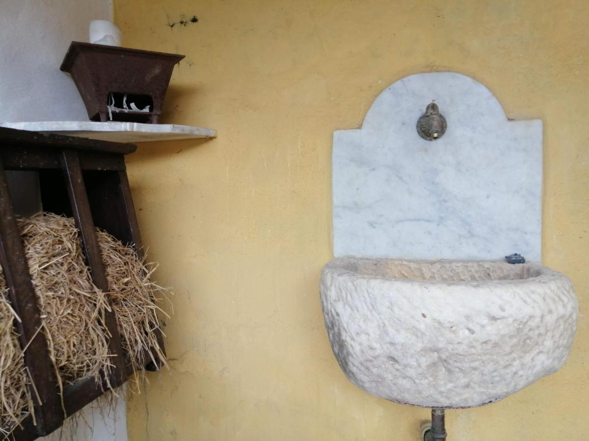 Bed and Breakfast Il Metato Di Gallena Stazzema Exterior foto