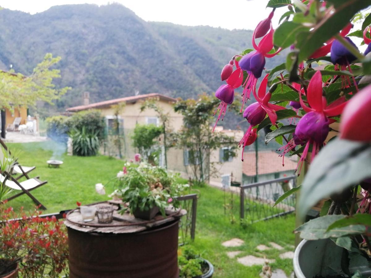 Bed and Breakfast Il Metato Di Gallena Stazzema Exterior foto