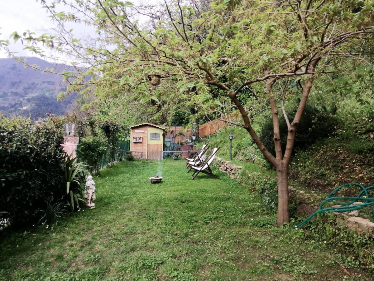 Bed and Breakfast Il Metato Di Gallena Stazzema Exterior foto
