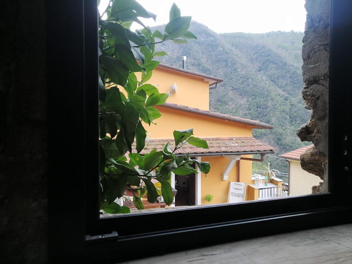 Bed and Breakfast Il Metato Di Gallena Stazzema Exterior foto