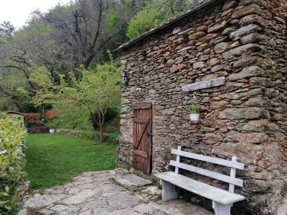 Bed and Breakfast Il Metato Di Gallena Stazzema Exterior foto
