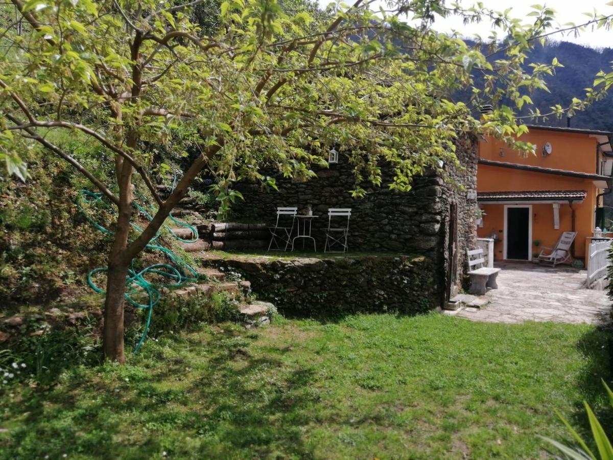 Bed and Breakfast Il Metato Di Gallena Stazzema Exterior foto