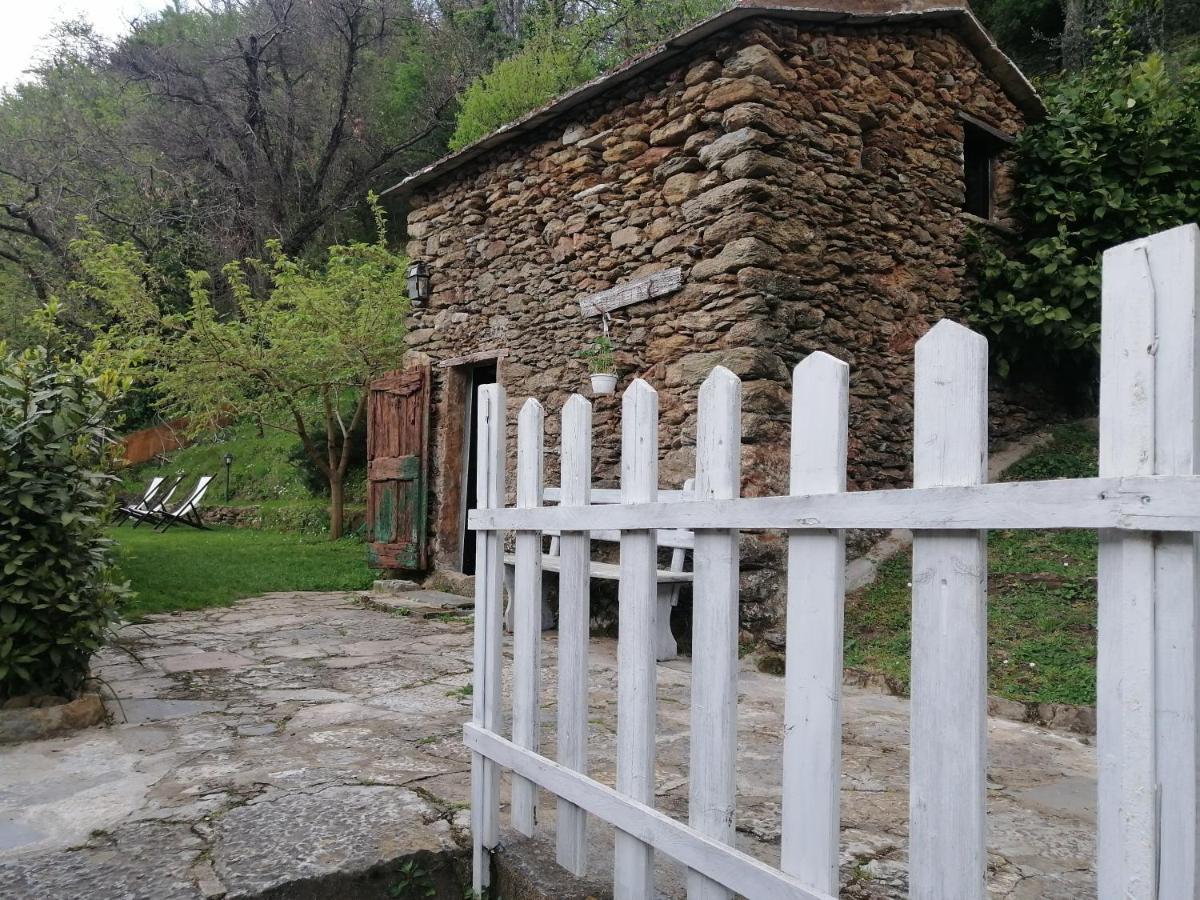 Bed and Breakfast Il Metato Di Gallena Stazzema Exterior foto