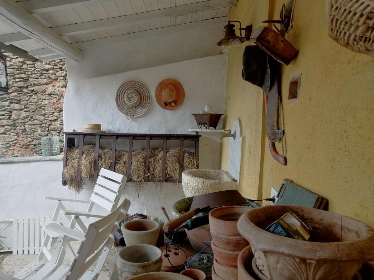 Bed and Breakfast Il Metato Di Gallena Stazzema Exterior foto