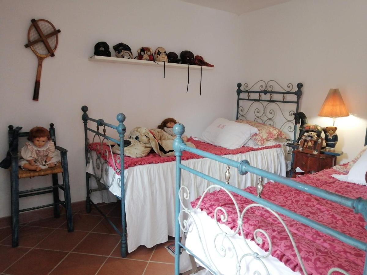 Bed and Breakfast Il Metato Di Gallena Stazzema Exterior foto